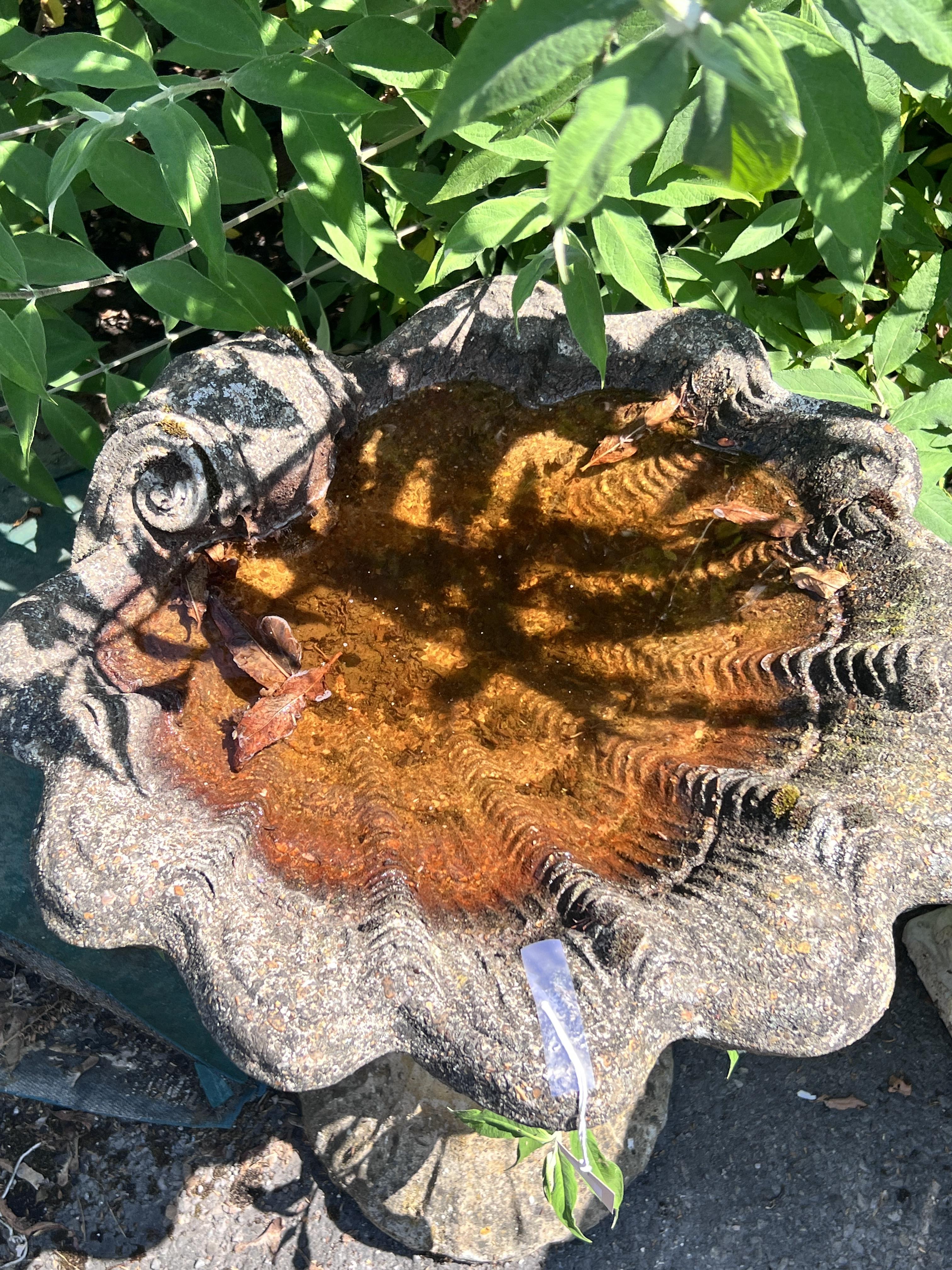 A reconstituted stone scallop shell bird bath, width 54cm, height 68cm